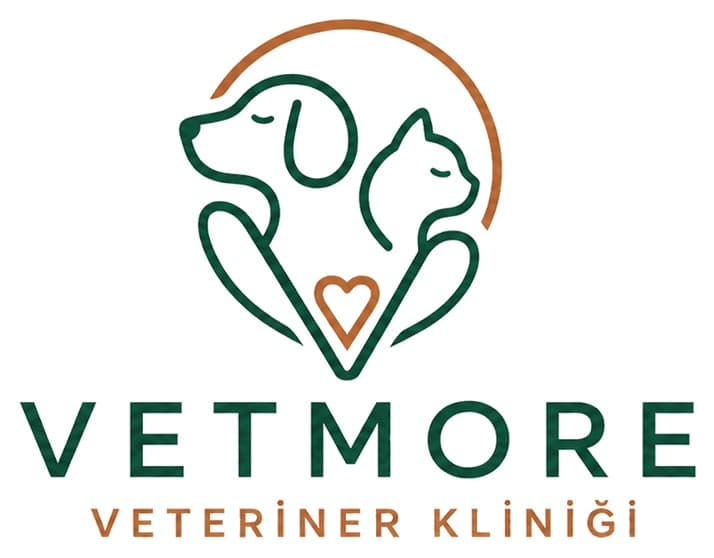 Vetmore Veteriner Kliniği